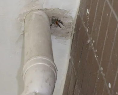 乡宁漏水检测哪家好